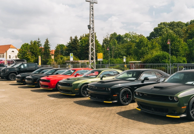 WhatsApp Image 2024-08-19 at 11.33.23